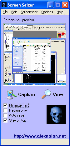 Screen Seizer - screenshot