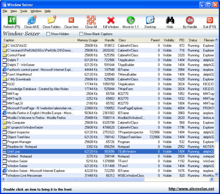 Window Seizer 1.05 - screenshot